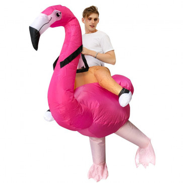 Riding Flamingo Inflatable Costume