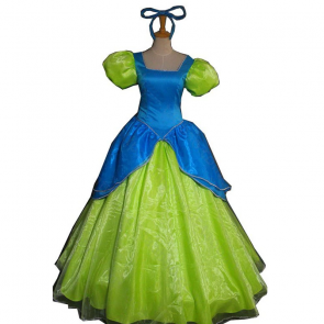 Cinderella Evil Stepsister Drizella Costume