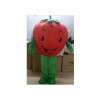 Gigantisk Jordbær Maskot Kostyme