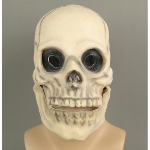 Skull Mask Costume