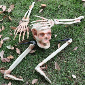 Skeleton Halloween Decoration Set