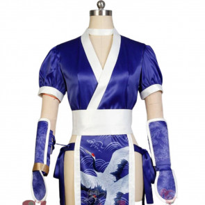 Kasumi Dead or Alive Cosplay Costume