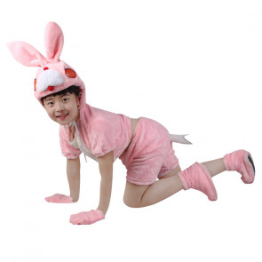 Bunny Animals Kids Cosplay Costume