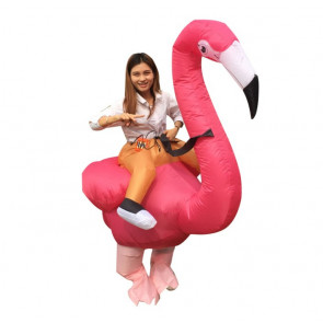 Inflatable Flamingo Riding Costume